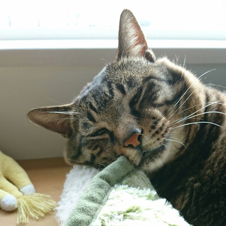 5cb14083 35b0 4845 82d5 2b26b477fe8c