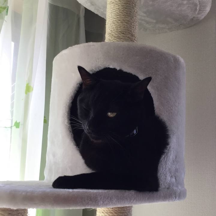 5cb2253e d082 4227 8cb2 ccf8f0f8e63a