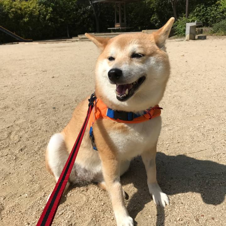 5cb289d3 66ee 4152 834a 8aa1db617f85