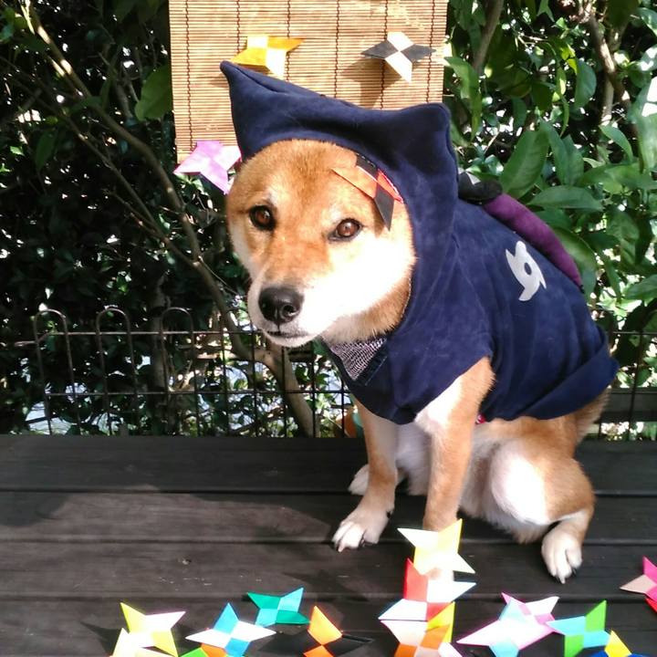 5cb2abfc 1e7b 4d44 8518 7297745ac2b6