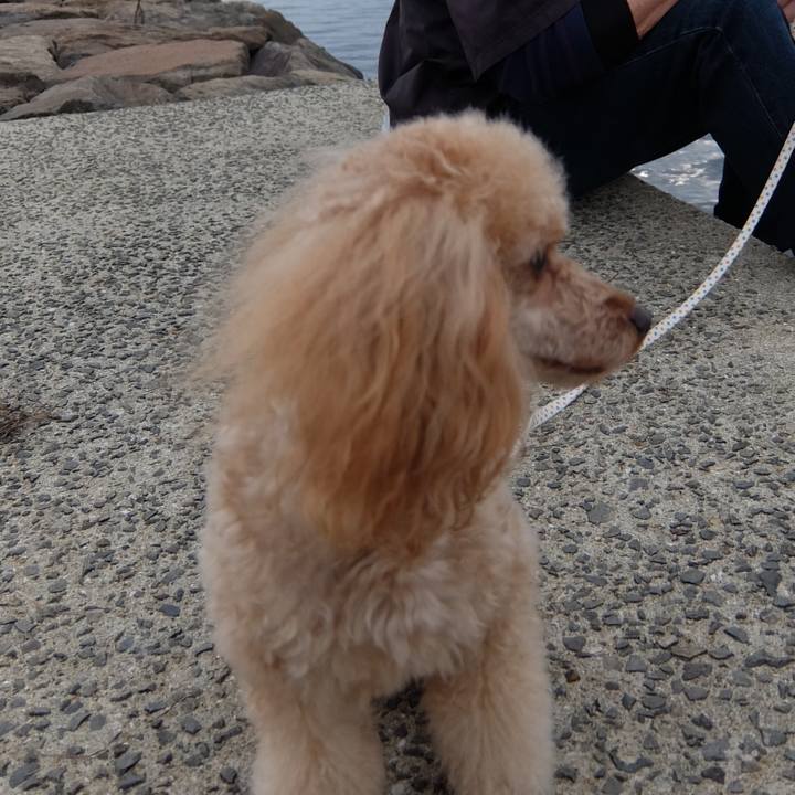 5cb2d47e 59db 4f42 ae76 4a4ecee3b2a3