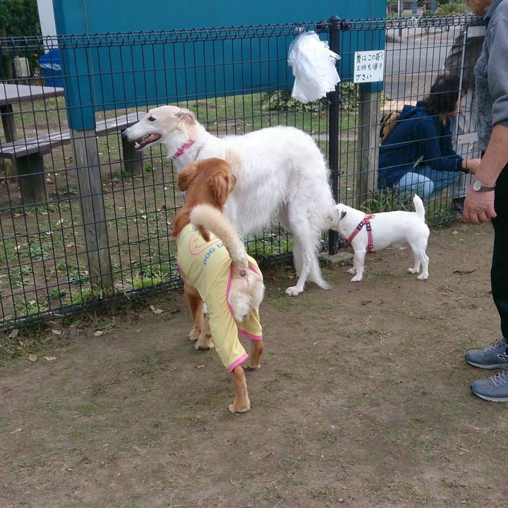 5cb30c83 3f56 47b8 a6b7 cc023519b853