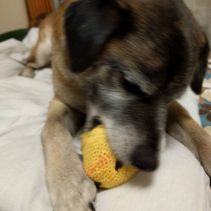 5cb369f3 cfcf 4cfd a036 314411d72afe