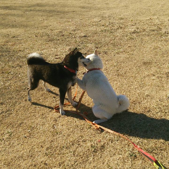 5cb3f630 8b27 4aaa 8db7 184d19bc4435