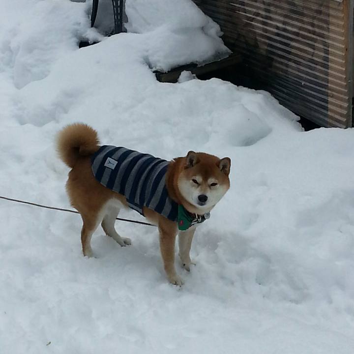 5cb4061c 5e68 4b8d 8e5c 3ed0e468bf3c