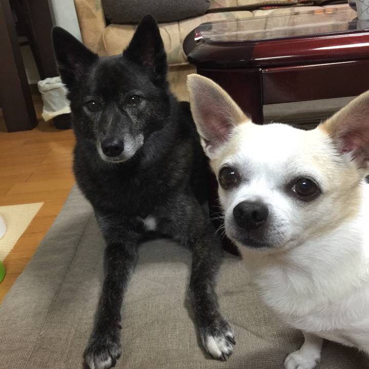 5cb47915 eeac 47ac 818d 352c54fb41d7