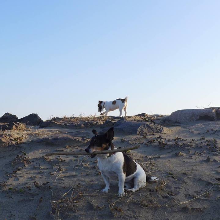 5cb5868d 2aca 4295 ba32 fa2faac83eda