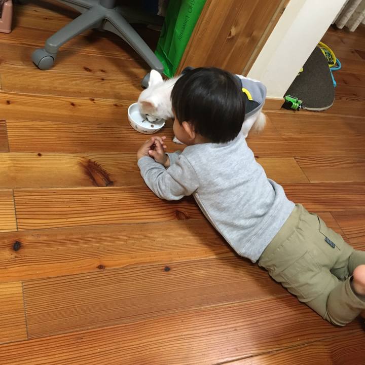 5cb59a4f 454c 4920 8b13 c56e9749bd9c