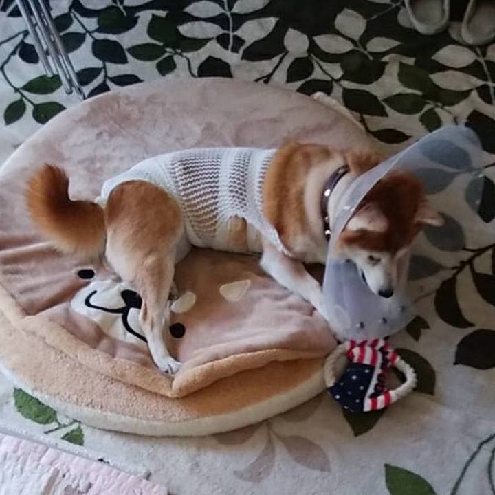 5cb5aa44 2bb8 44f0 8589 255004ec5135