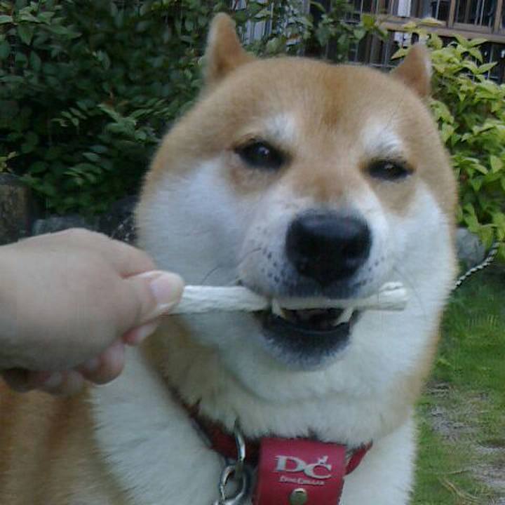 5cb5ebdb b280 43f2 828a 5ad325ae99ec