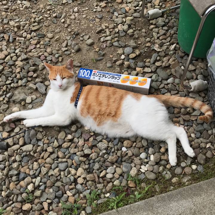 5cb5fbc3 803e 471d aa2d 4f705696c97b