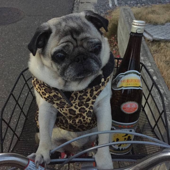 5cb67eda 3687 4d44 85ac dfdc0645ef8b