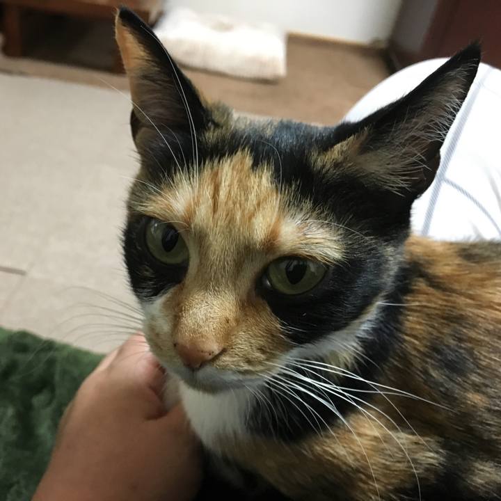 5cb6c416 e382 4c31 8951 2d4166e5c68f