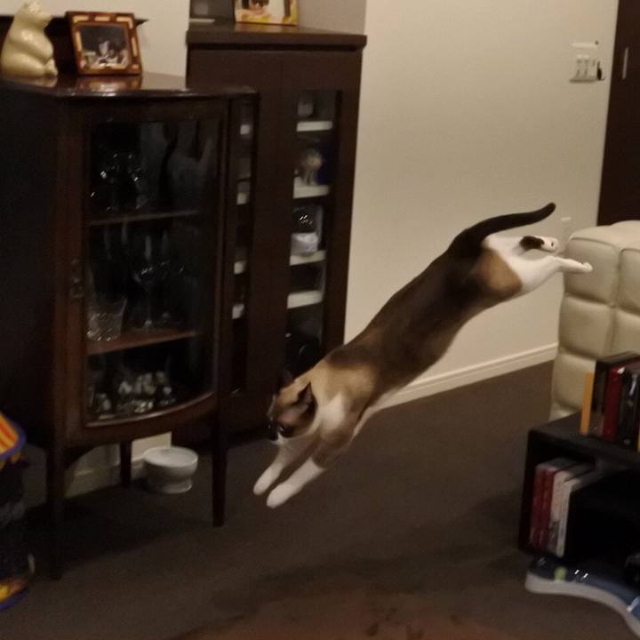 5cb71917 8f9f 4edb b902 cc032d5c7d2e