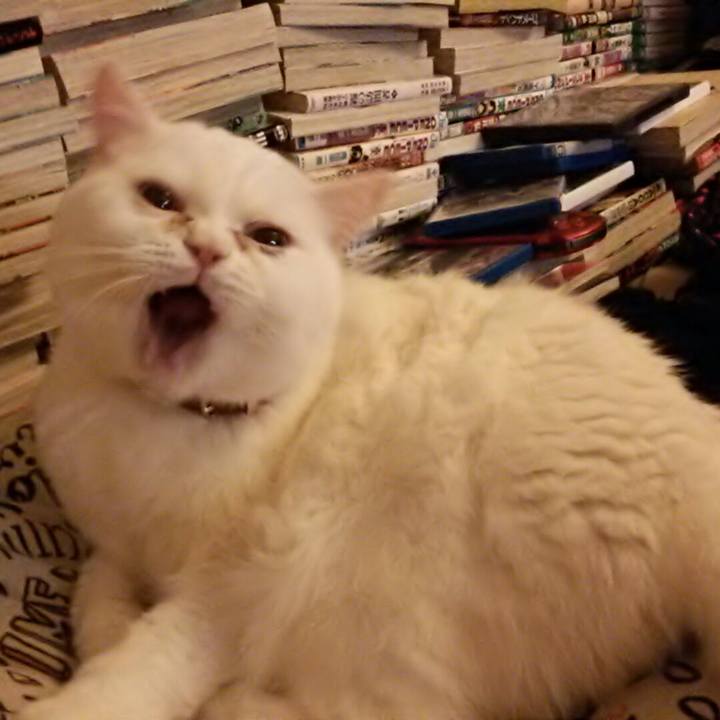 5cb83e7a 7160 45e4 8805 a8ea4f81378a