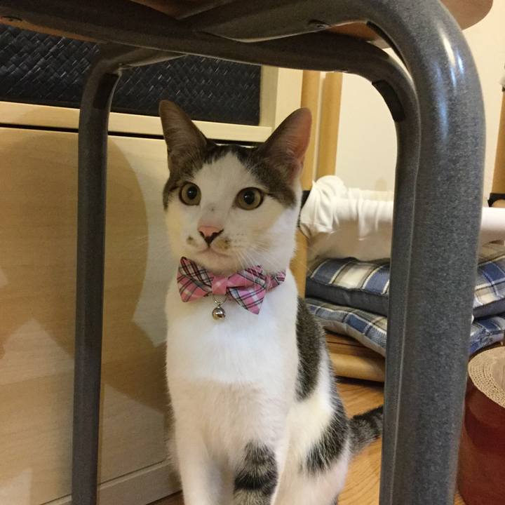 5cb86c14 4afc 4ddd b8d0 71033bb836af