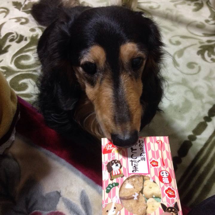 5cb8e611 2143 4ee2 a562 945dc0058e6d