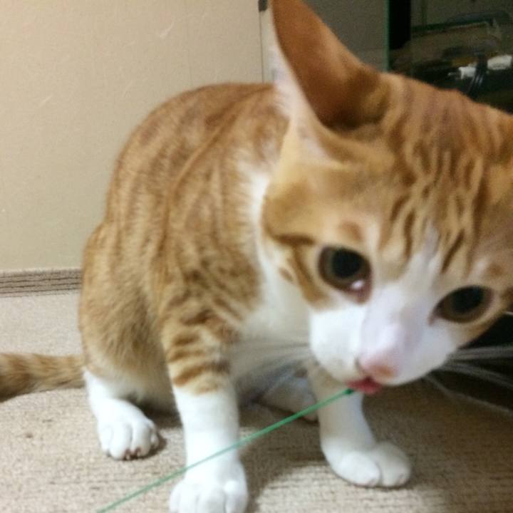 5cb94ed2 1bbb 42ef 99d3 b4fb9137c163