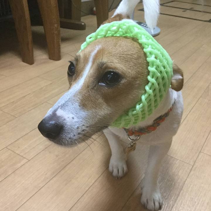 5cb97096 d9c9 4223 8efe 93e73c44ff7d