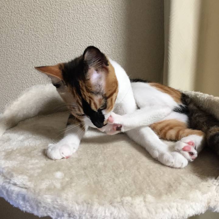 5cb9939d 6582 4c70 99aa 4c684d9d164a