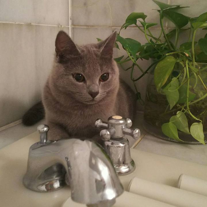 5cb9cc96 7639 4422 b433 d7e9595f70d9