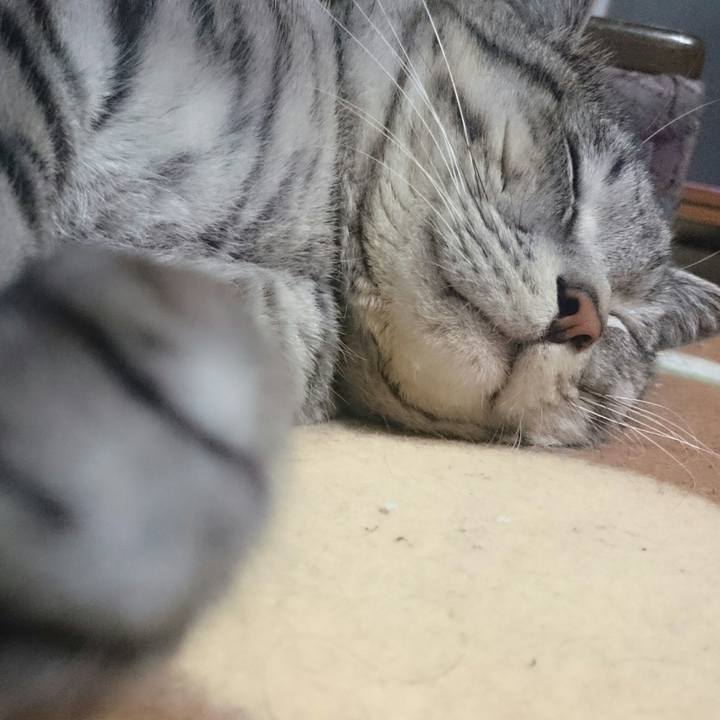 5cba316e 93f9 4806 83e8 9638f68fcedf