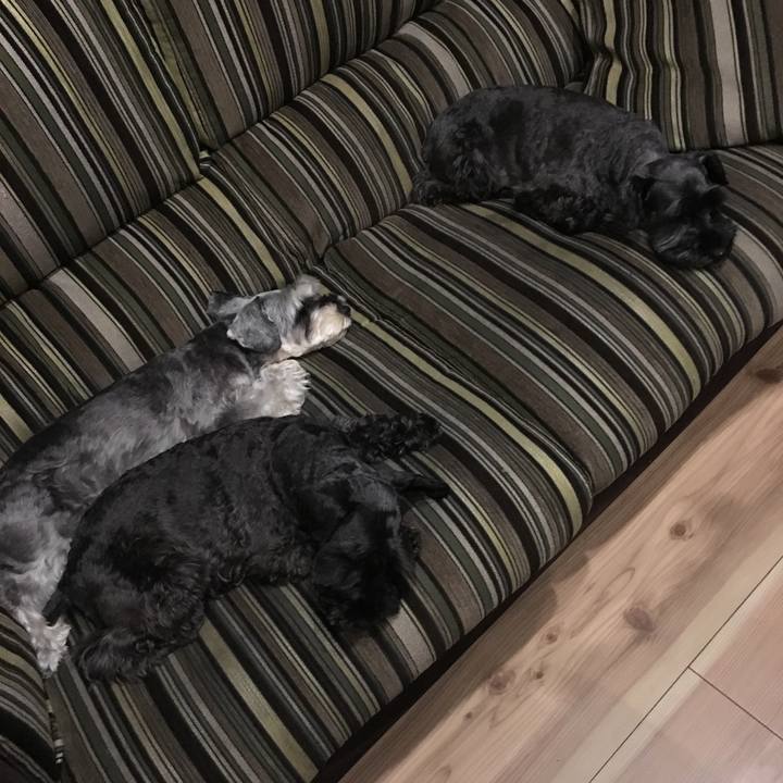 5cba43fd f57f 47c4 95c2 d7be14fff374