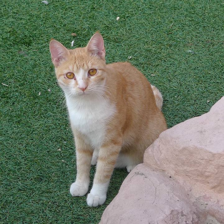 5cba5d54 23b8 463b b259 a999e958e00f