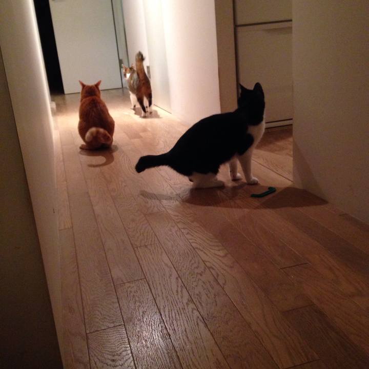 5cba690d 9a5c 4f64 b095 e6c01a129e75