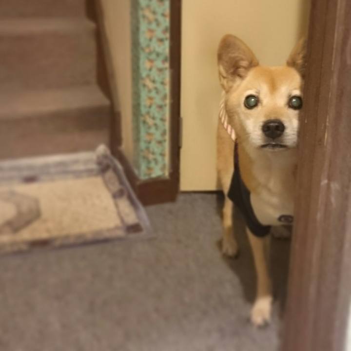 5cba8ca4 7d1d 4cfa 9322 7996340e6884