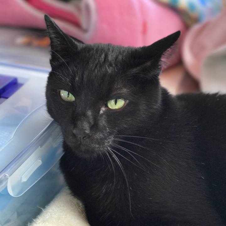 5cbb880a 95c1 4abe 97e8 4765fd8c4643