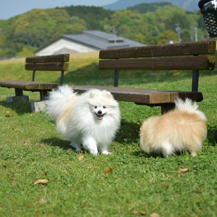 5cbc26f2 9901 4423 afcf 4bd7fb5c9b0a