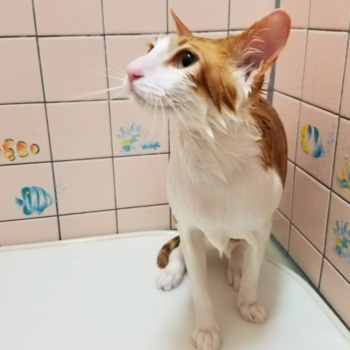 5cbc35d9 5121 4986 b496 4b2d3b876066