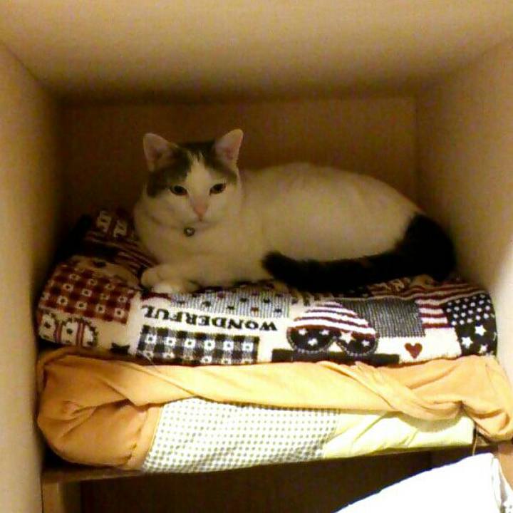 5cbc4861 62c3 4c21 8caf 0416695a0d42