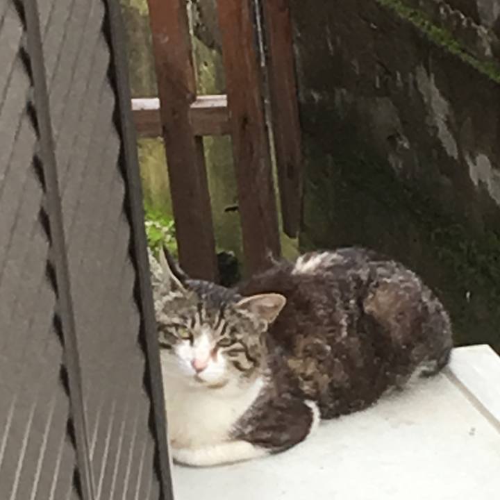 5cbc5d12 d9ce 4be6 86ab 2c957bd70acf