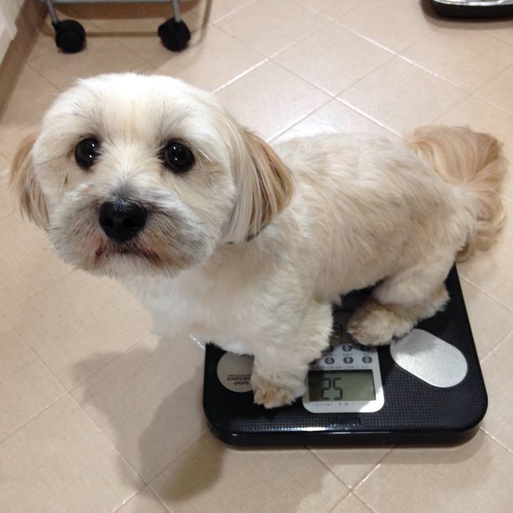 5cbc9dd5 395f 4ba3 b884 8d7373572057