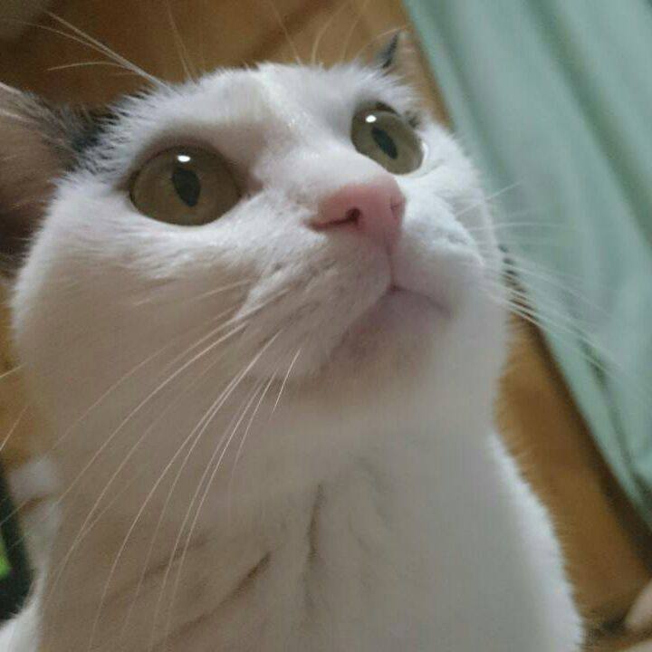 5cbcbab7 1216 48e9 98fc f7e0edacb1ec