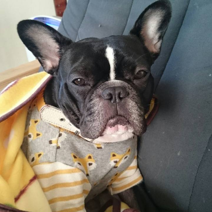 5cbda78e e0f7 4c18 a050 02f2c2e88f76