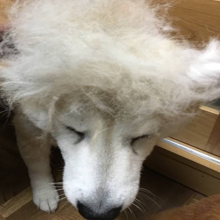 5cbe2537 1e29 4a18 bb7b cd48cd407079