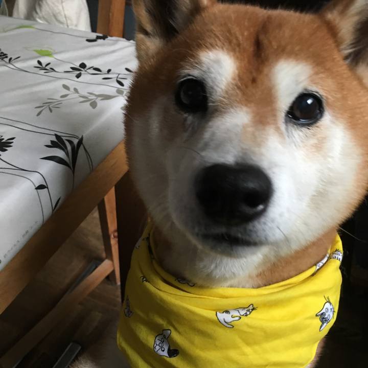 5cbe3392 9a63 4b27 9228 23017838089e