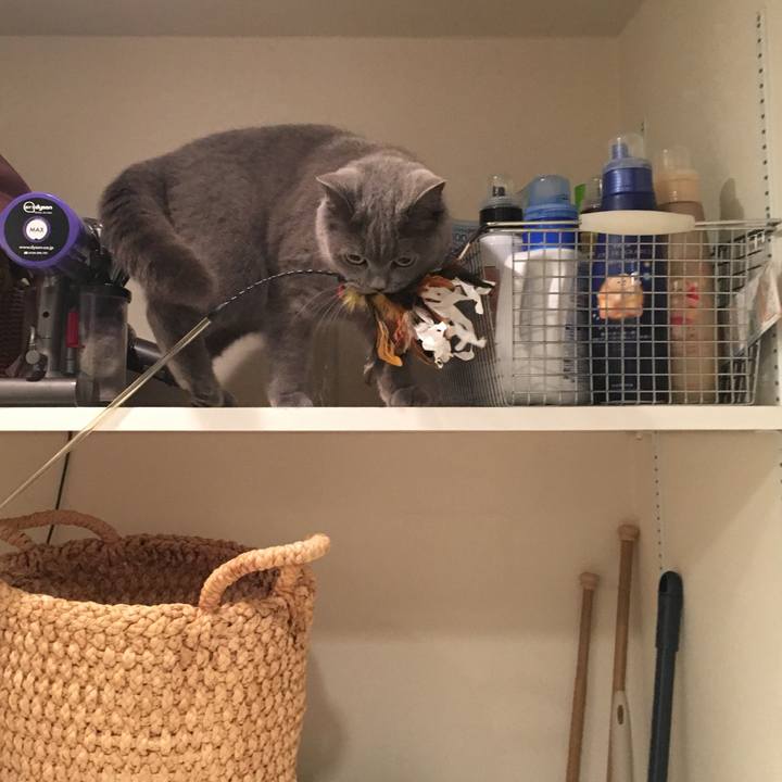 5cbe4763 96a4 4c48 bd8c c5bc509688b7