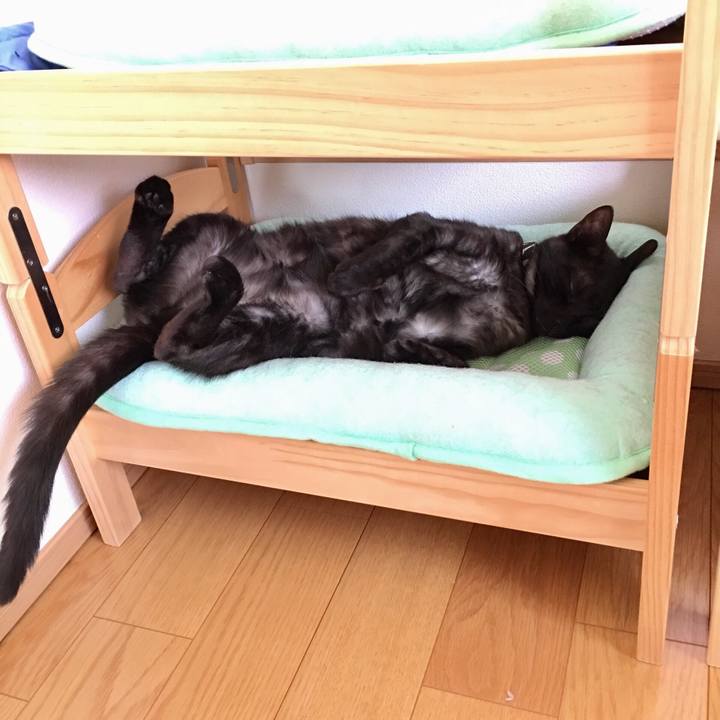 5cbe6eb0 f8f4 4f14 a0e2 1e8a4799ce95