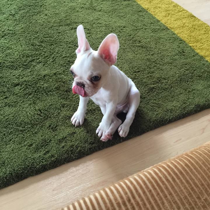 5cbedd1b c940 4c58 884e 2ddb6358a819