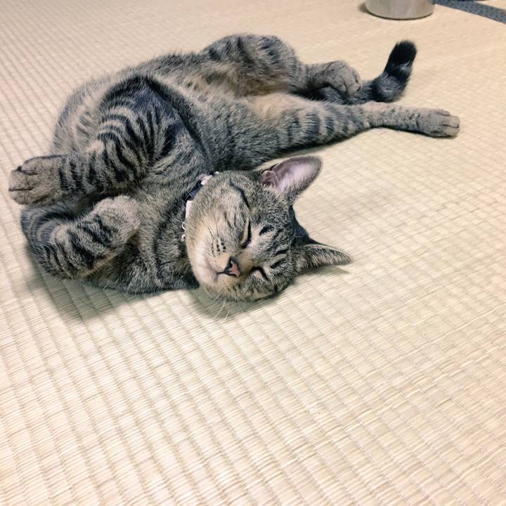 5cbf28ce 24ac 48f5 95c1 eaaf0f2ce267