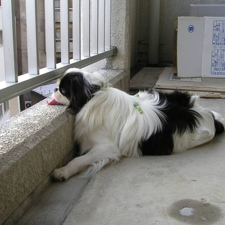 5cbf4219 d390 40b4 ae3d e6446b7097d0