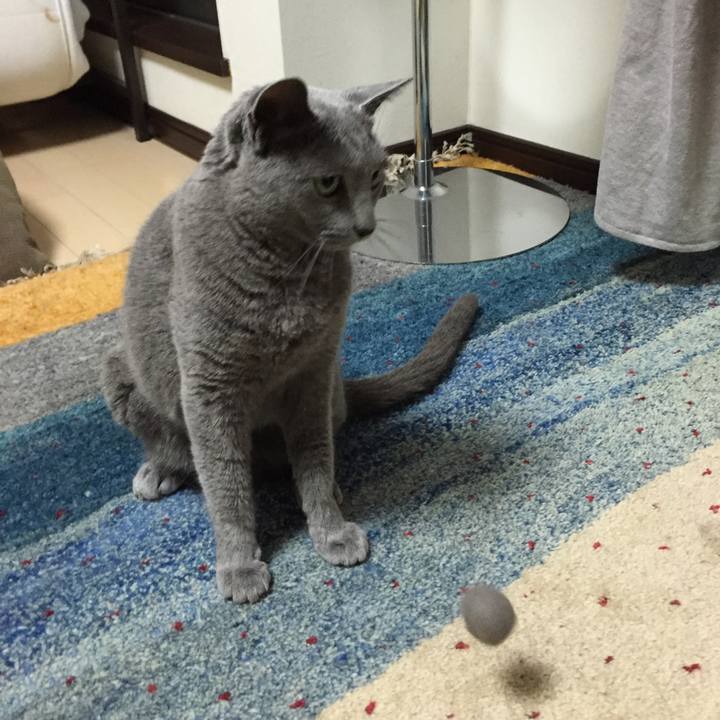 5cbf9597 5109 4b8d 80ae a8dd7af06dc2