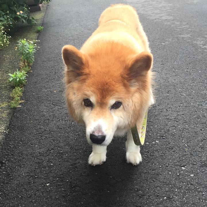 5cc0d0a8 ba51 4b0a 82cc 190fa9acb3ee