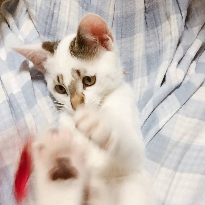 5cc13588 bf16 48c2 9735 710821dfa61b