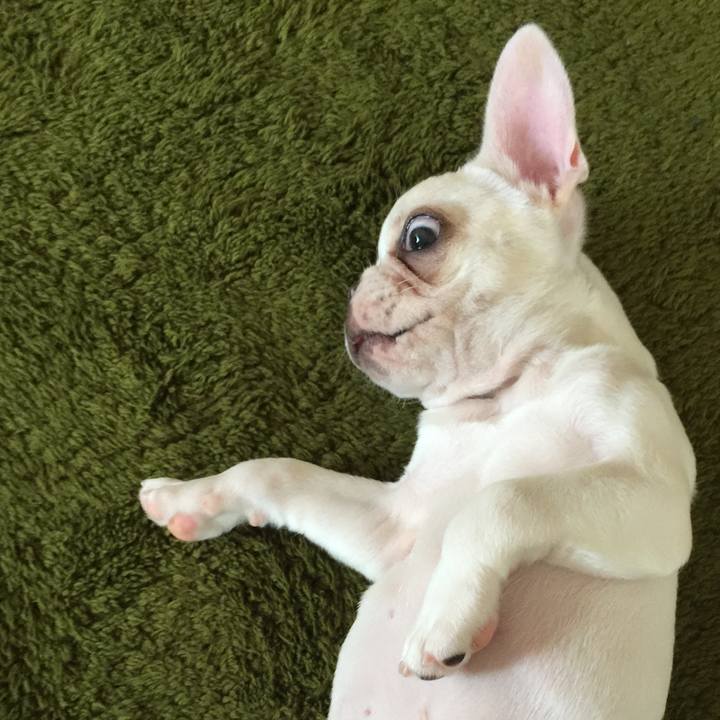 5cc1751c afeb 46ad 98ae 380fac5ea2b3