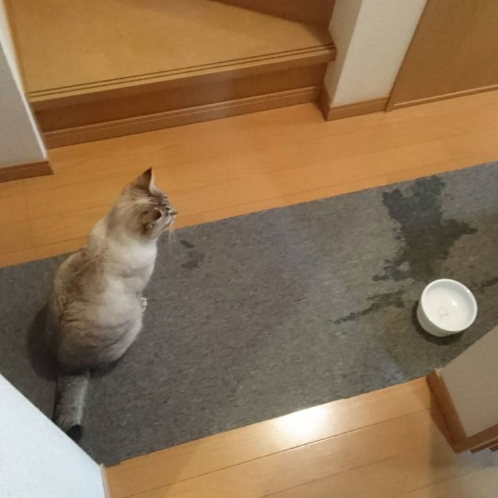 5cc1d881 aadd 4aee 9f99 9c0e2fcf9e23